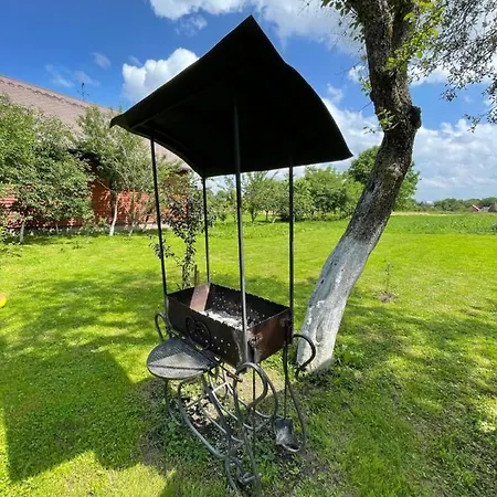 Прикарпаття Country house