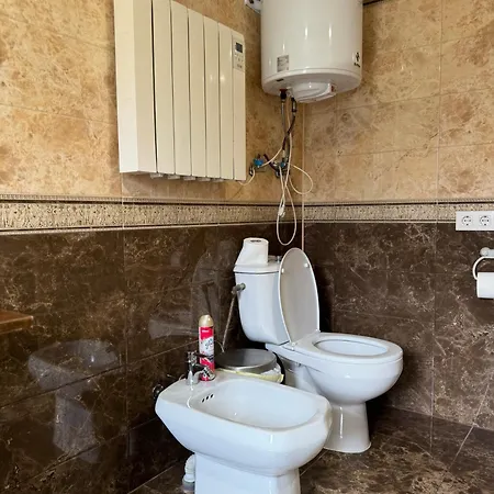 Прикарпаття