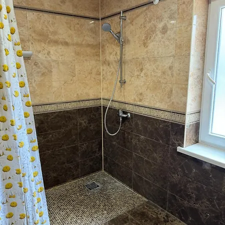 Country house Прикарпаття