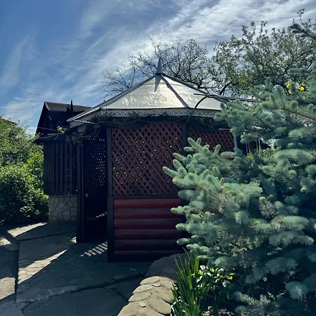 Прикарпаття * Kosiv