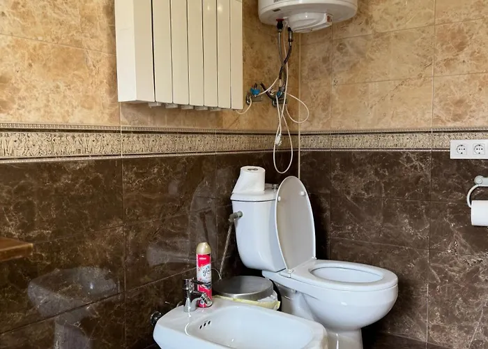 Прикарпаття