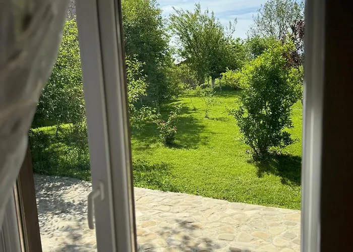 Прикарпаття