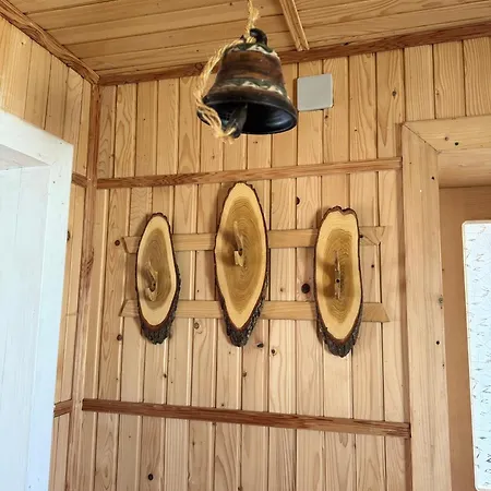 Прикарпаття コシフ