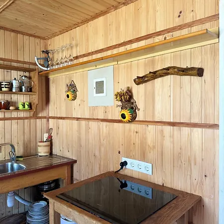 Landsted Прикарпаття *